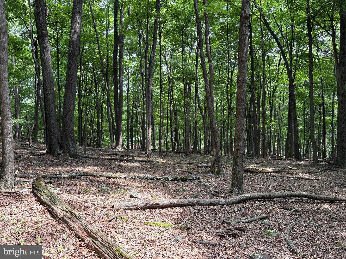 19.36 Ac Penneroil Rd Property Photo 24