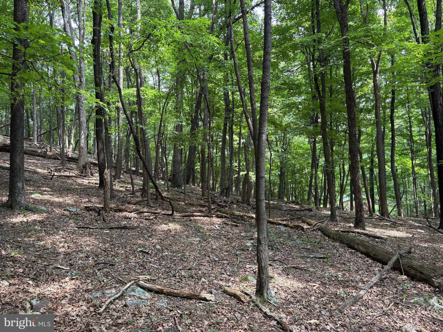 19.36 Ac Penneroil Rd Property Photo 26