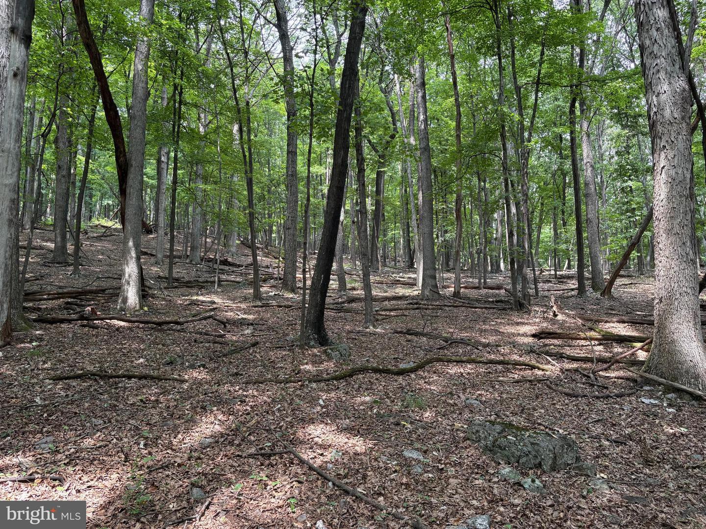 19.36 Ac Penneroil Rd Property Photo 28