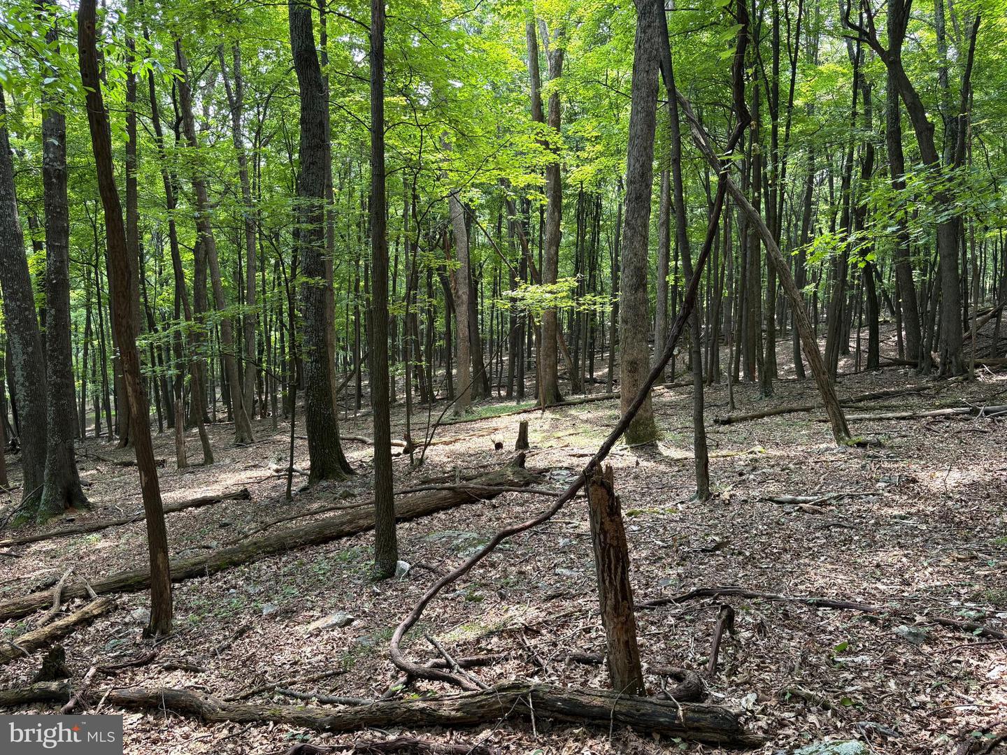 19.36 Ac Penneroil Rd Property Photo 30