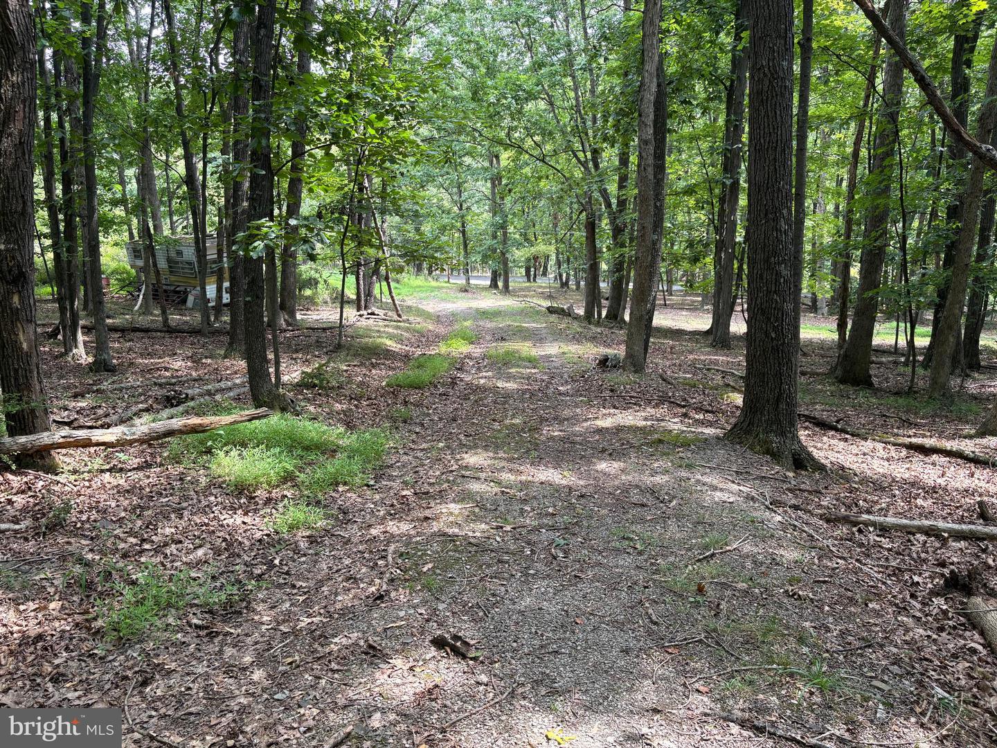 19.36 Ac Penneroil Rd Property Photo 31