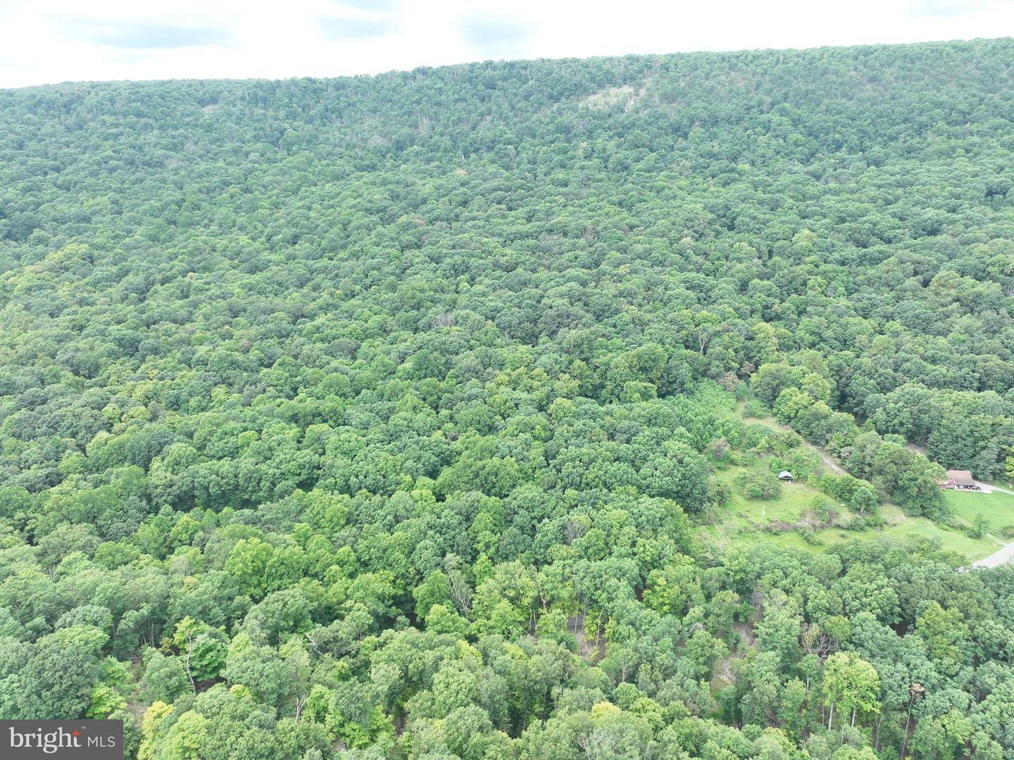 19.36 Ac Penneroil Rd Property Photo 32