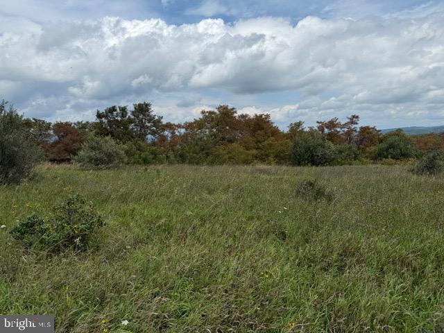Dragonfly Ln Property Photo 4