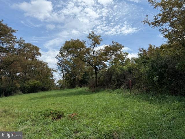 Dragonfly Ln Property Photo 7