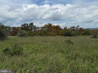 Dragonfly Ln Property Photo 11