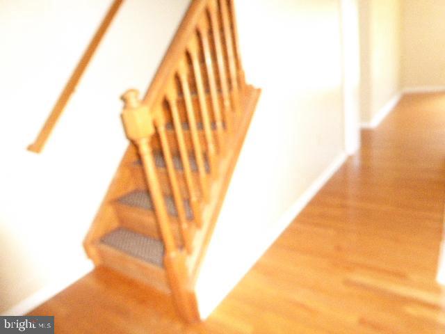 262 Windover Dr Property Photo 4