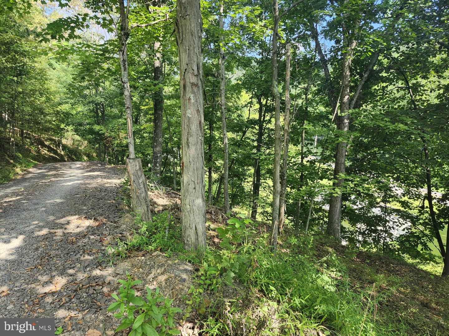497 Dry Run Rd. Property Photo 67