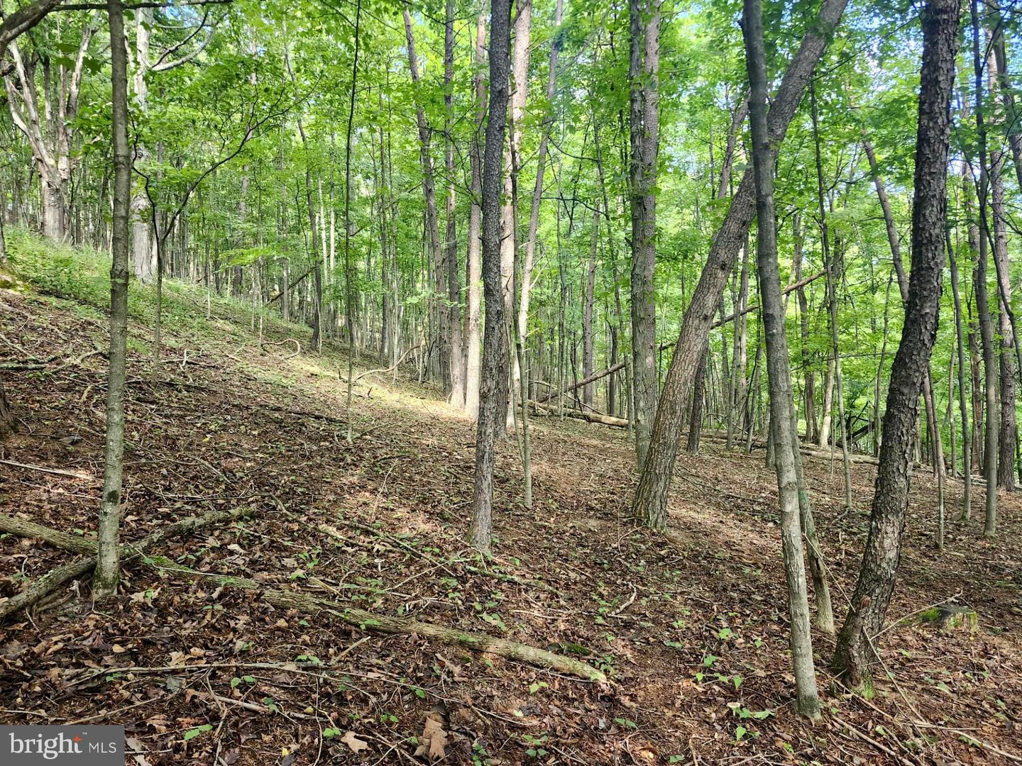497 Dry Run Rd. Property Photo 68