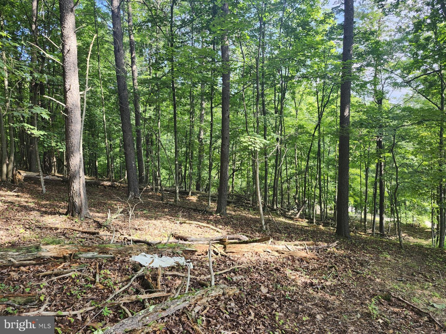 497 Dry Run Rd. Property Photo 69