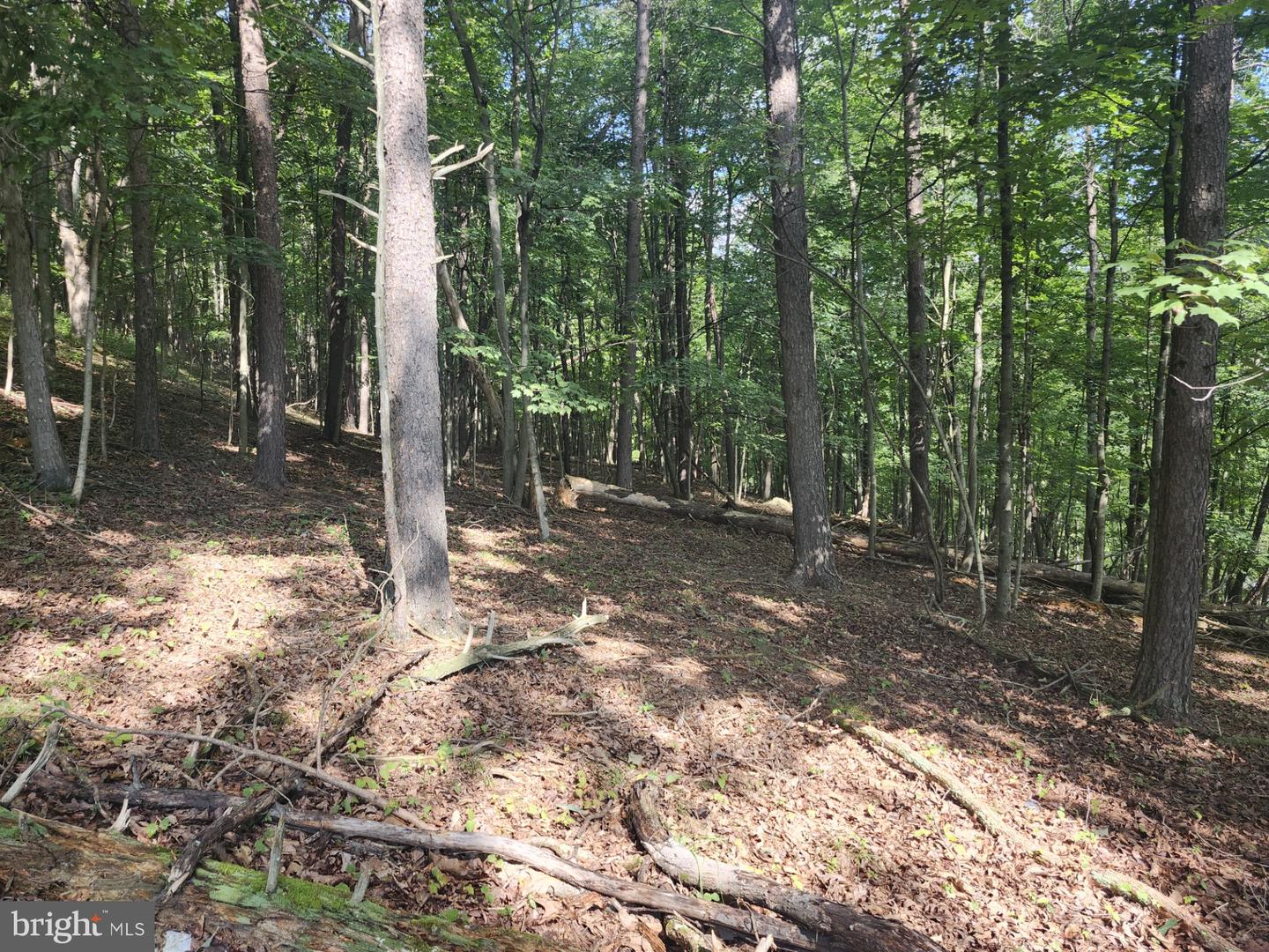 497 Dry Run Rd. Property Photo 79