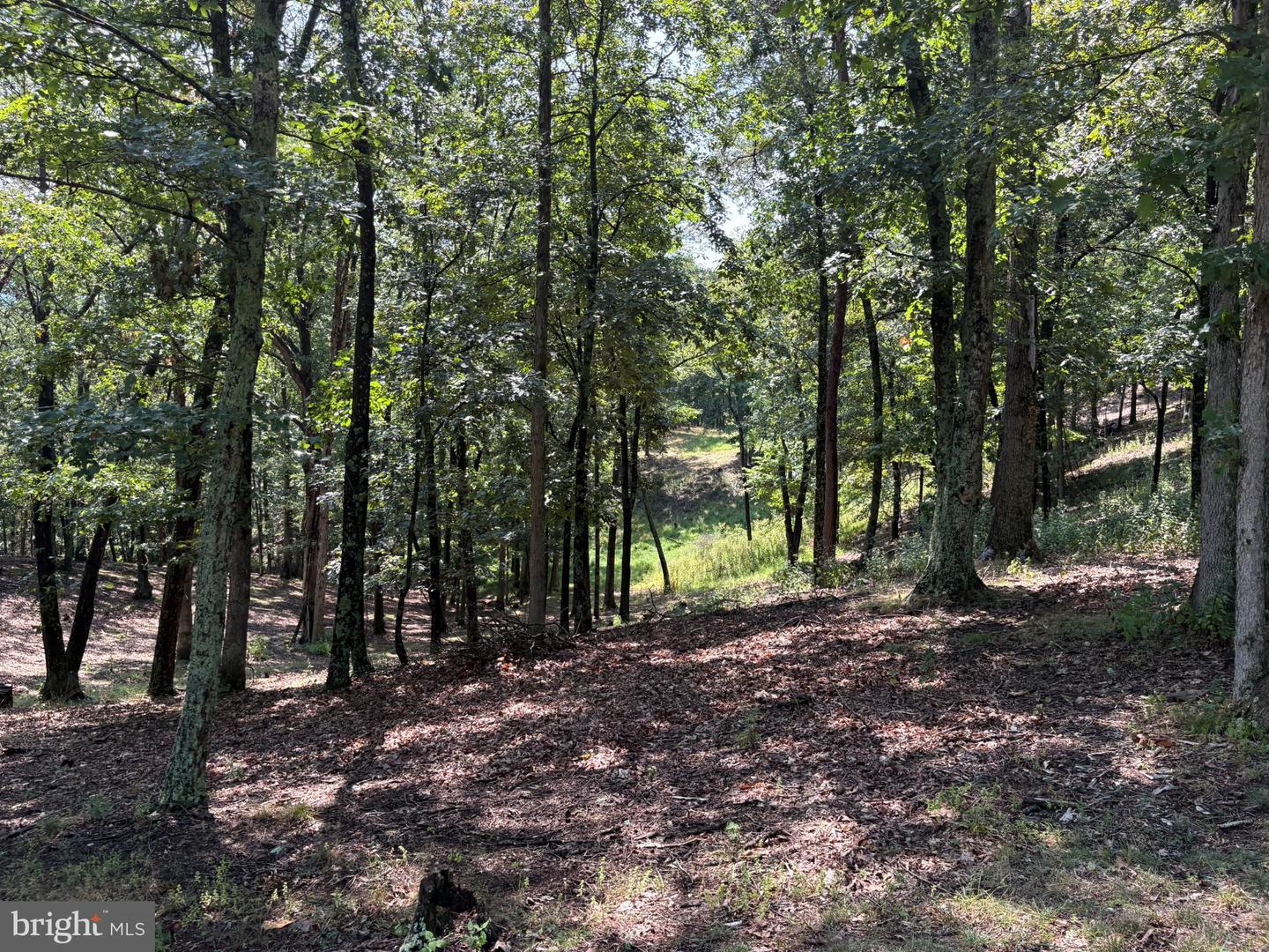 1433 Ed Welsh Rd Property Photo 17