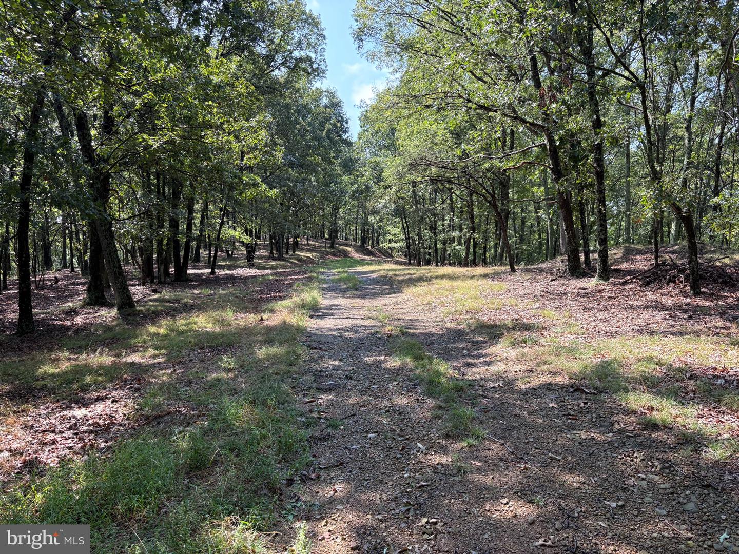 1433 Ed Welsh Rd Property Photo 18