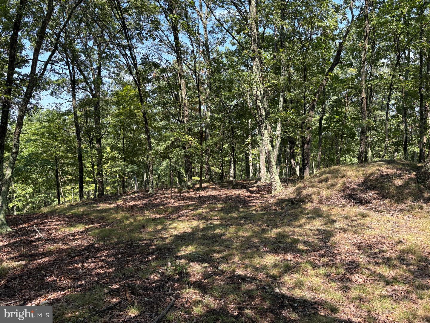 1433 Ed Welsh Rd Property Photo 22