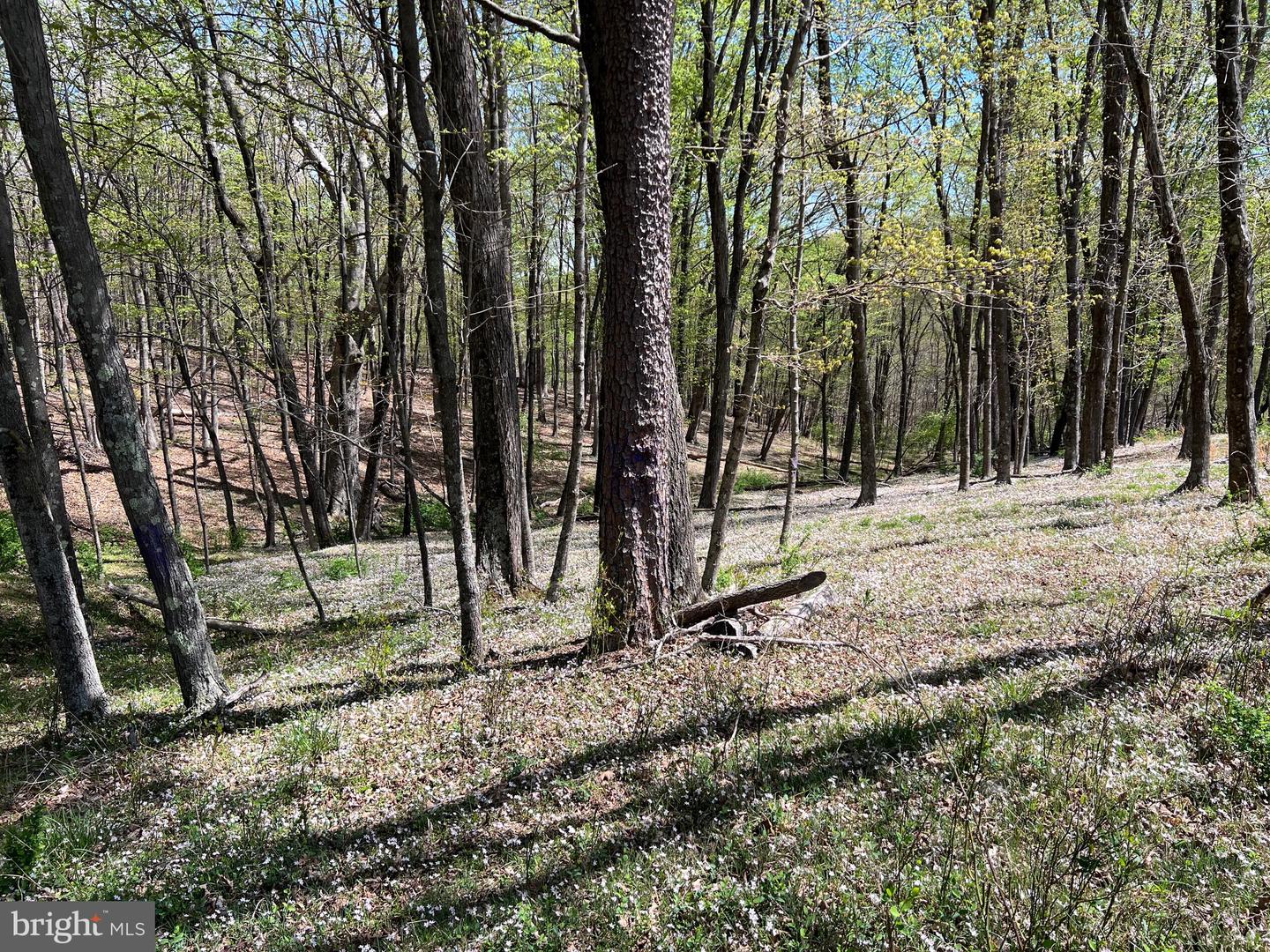 Timber Ridge Property Photo 2