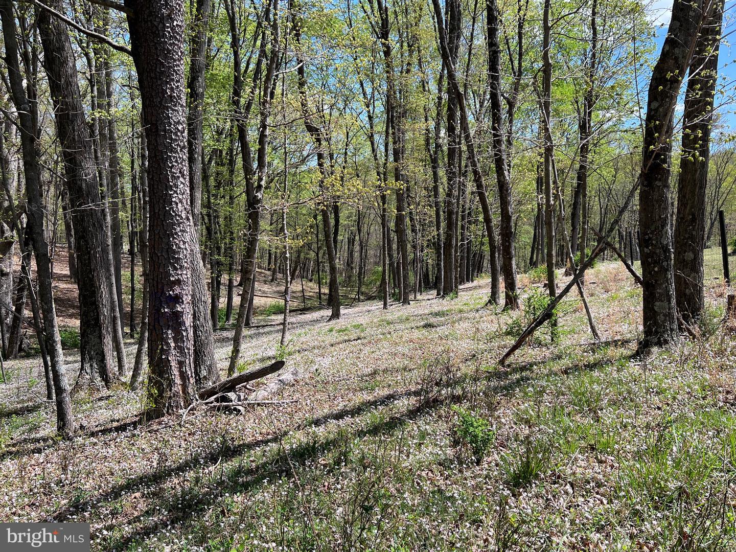 Timber Ridge Property Photo 3