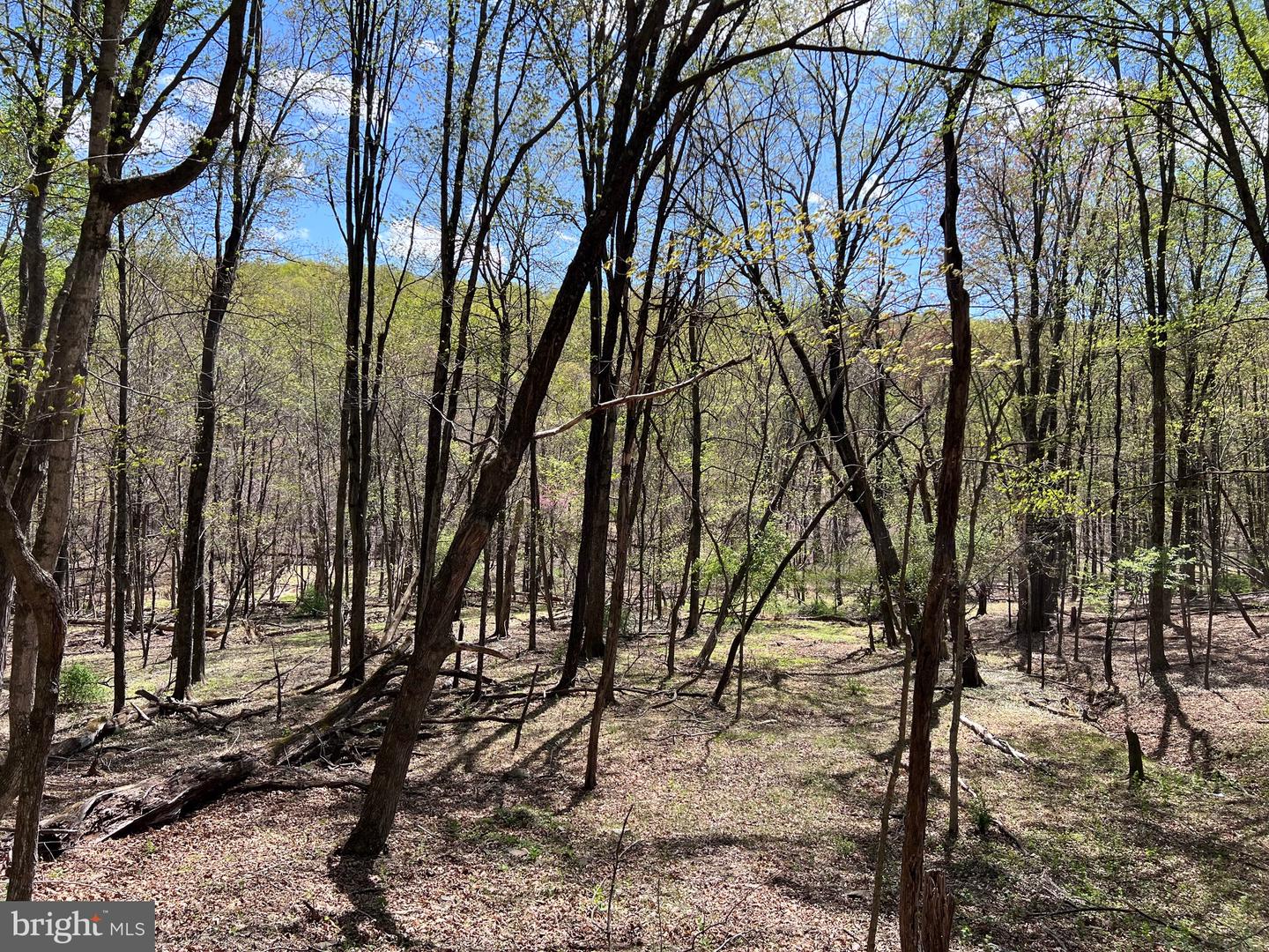 Timber Ridge Property Photo 4
