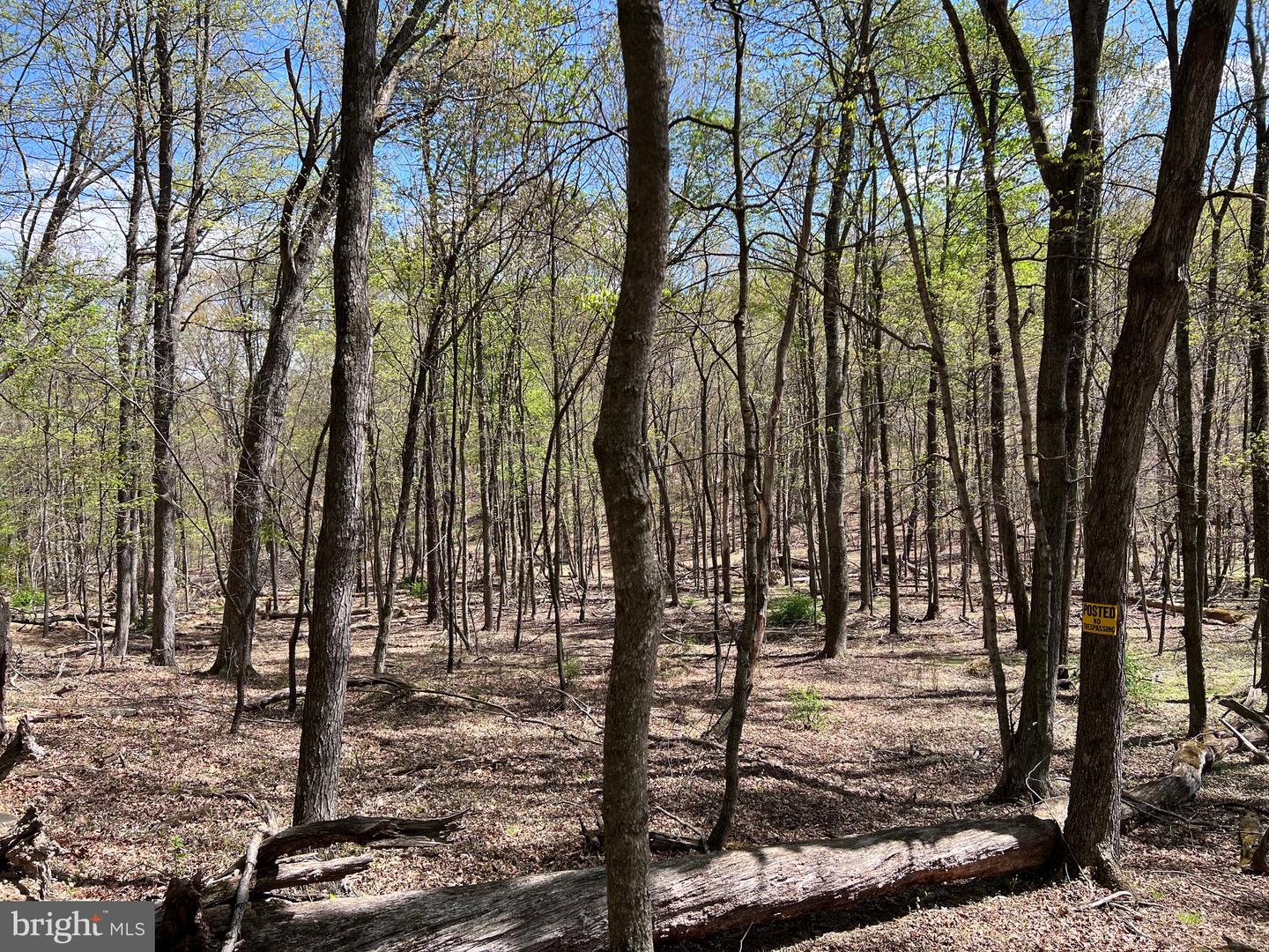 Timber Ridge Property Photo 6