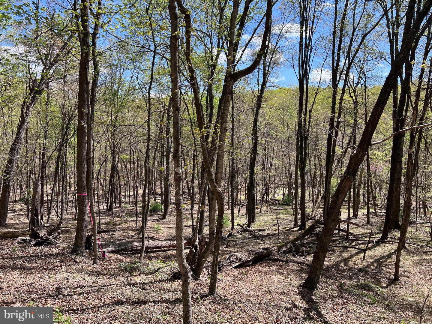 Timber Ridge Property Photo 7