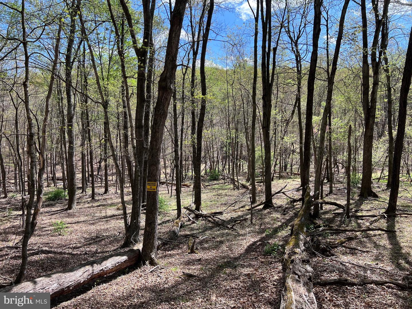 Timber Ridge Property Photo 8
