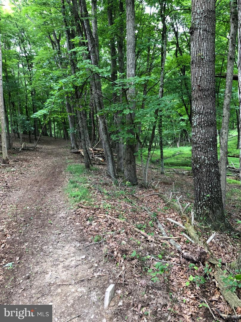 Timber Ridge Property Photo 10