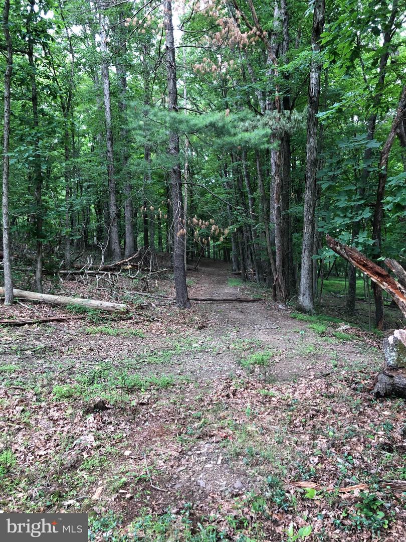 Timber Ridge Property Photo 11