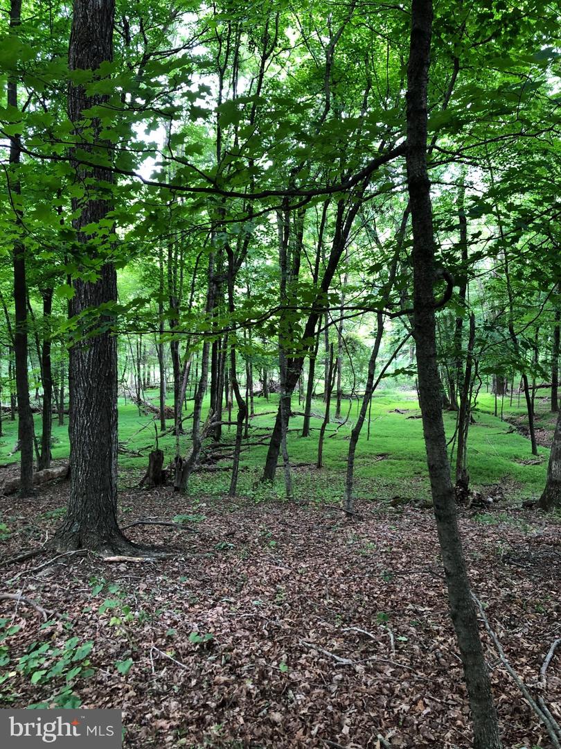 Timber Ridge Property Photo 12