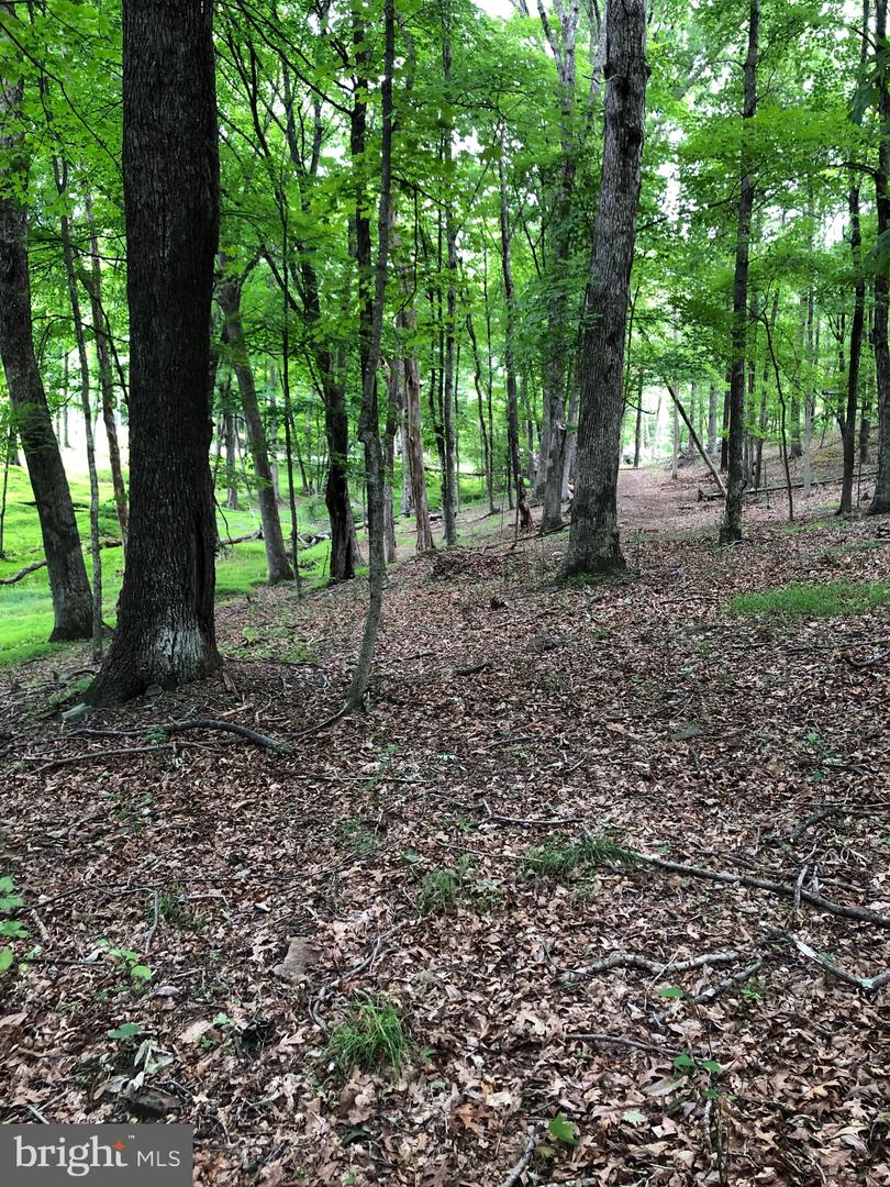 Timber Ridge Property Photo 14