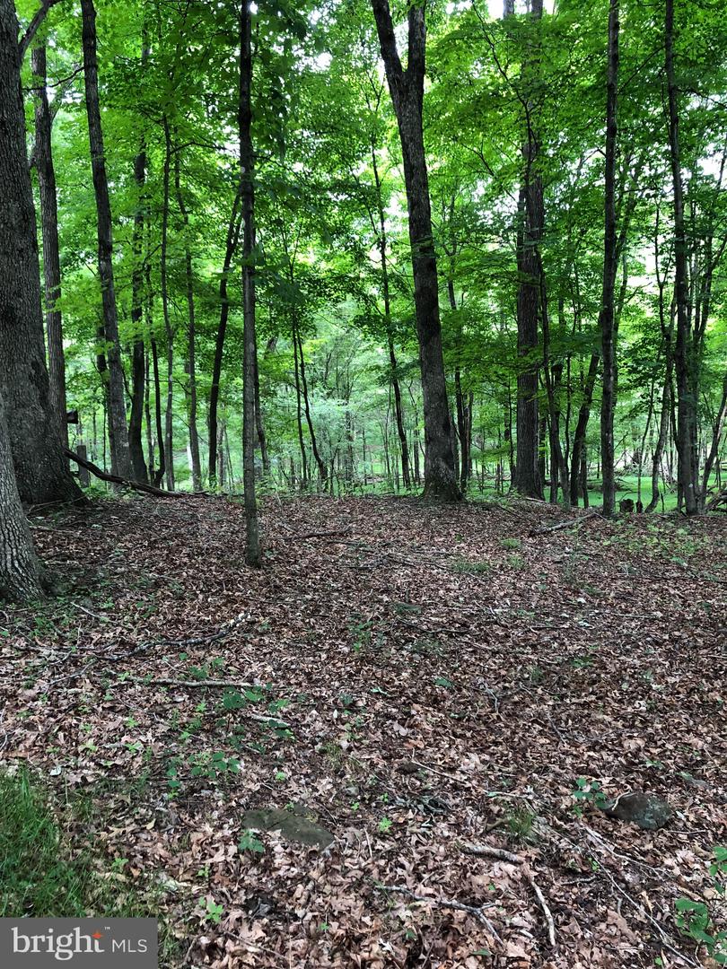 Timber Ridge Property Photo 15