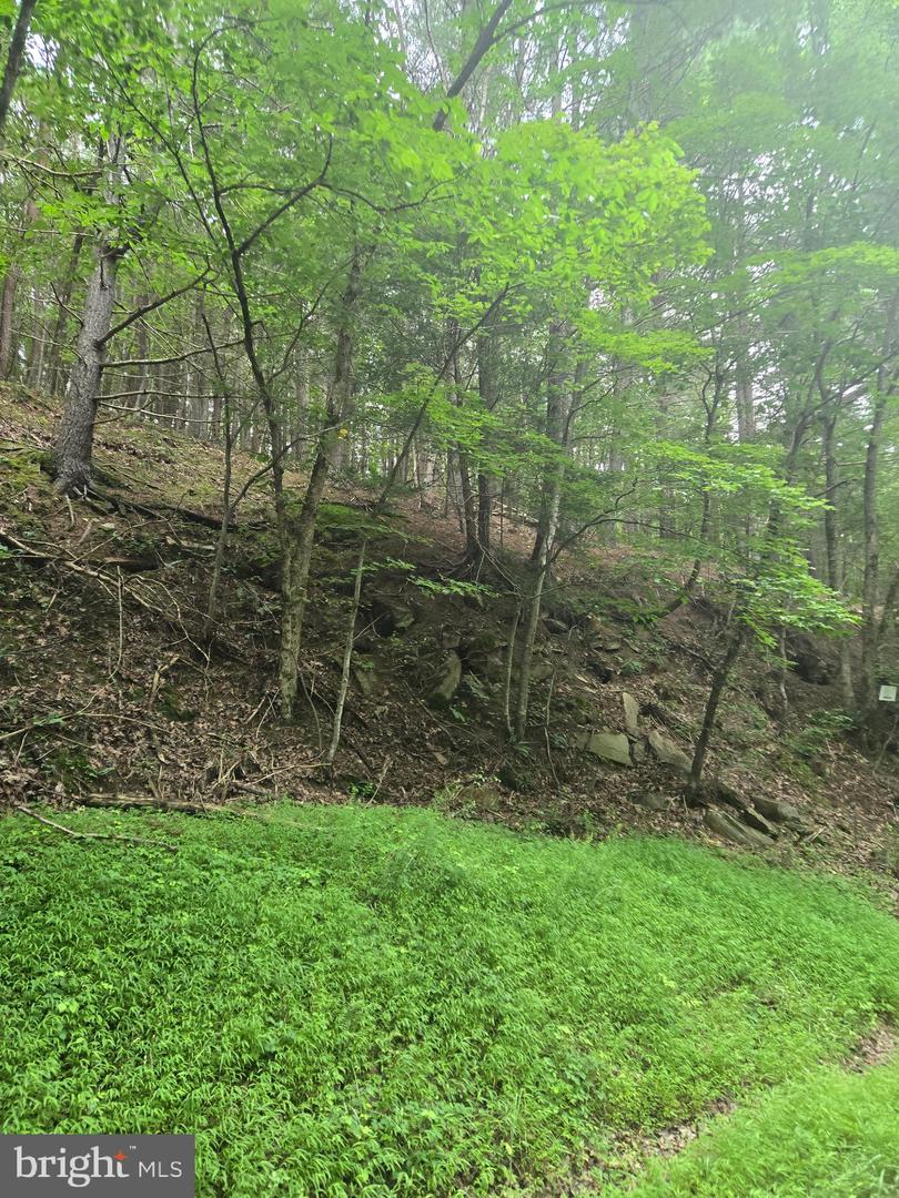 Mountain Run Road Property Photo 2