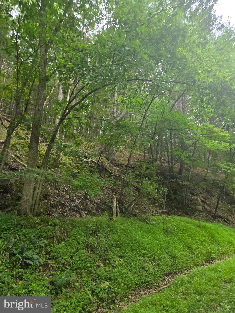 Mountain Run Road Property Photo 3