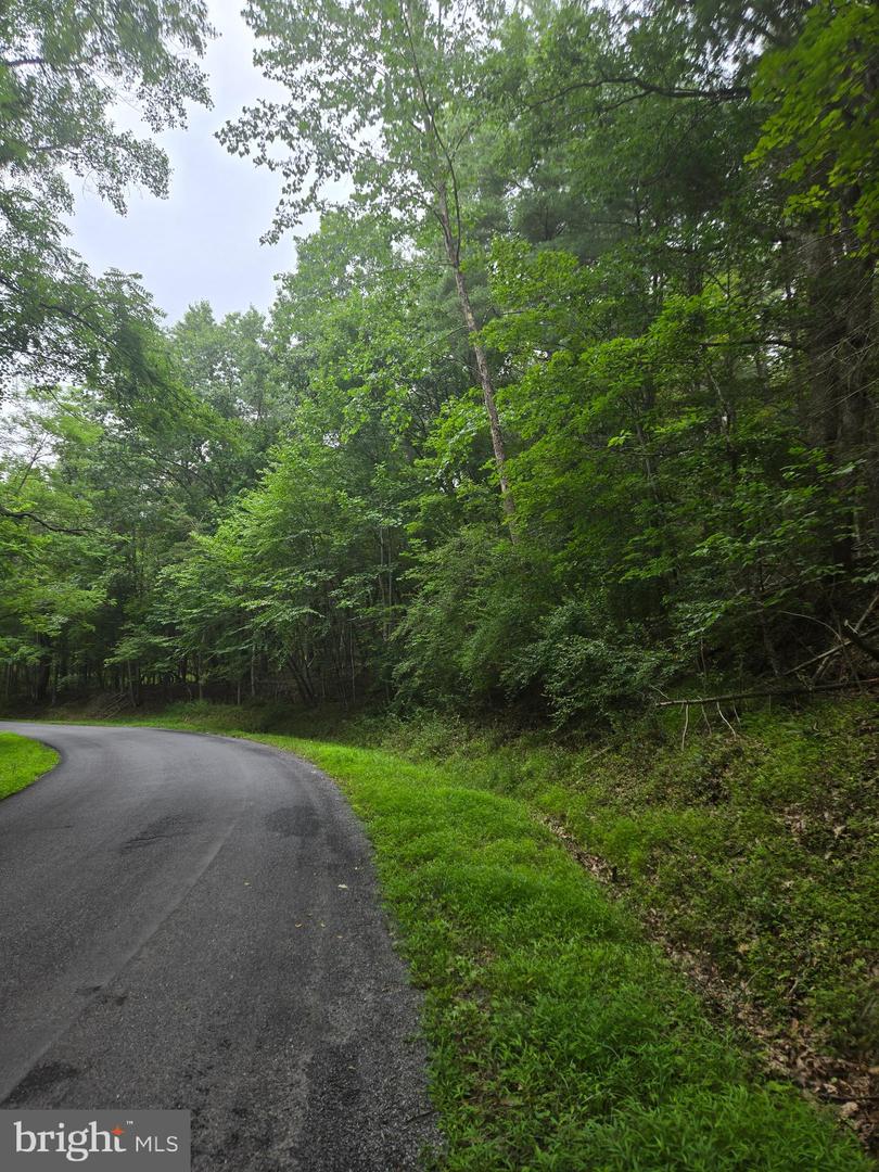 Mountain Run Road Property Photo 6