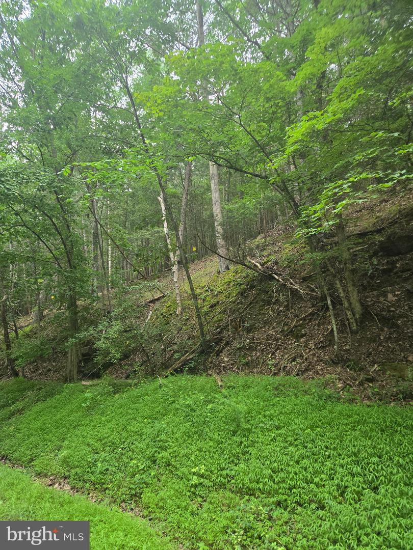 Mountain Run Road Property Photo 8