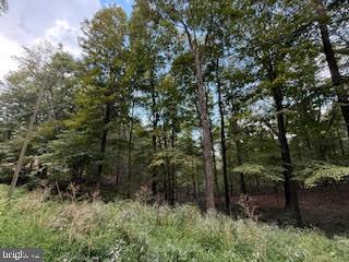 Cubby Hole Lane - Lot 25 Property Photo 1