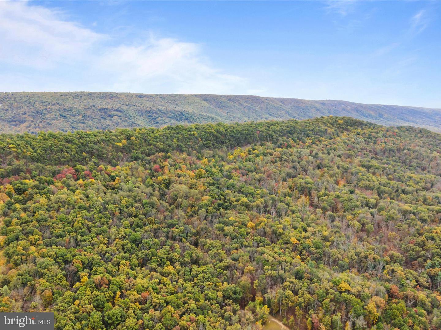 2083 Clay Pits Ln Property Photo 6