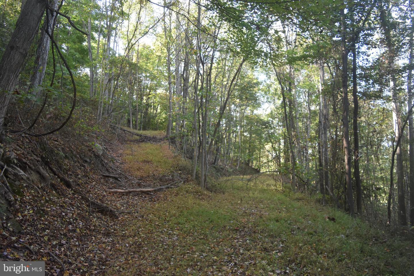 2083 Clay Pits Ln Property Photo 8