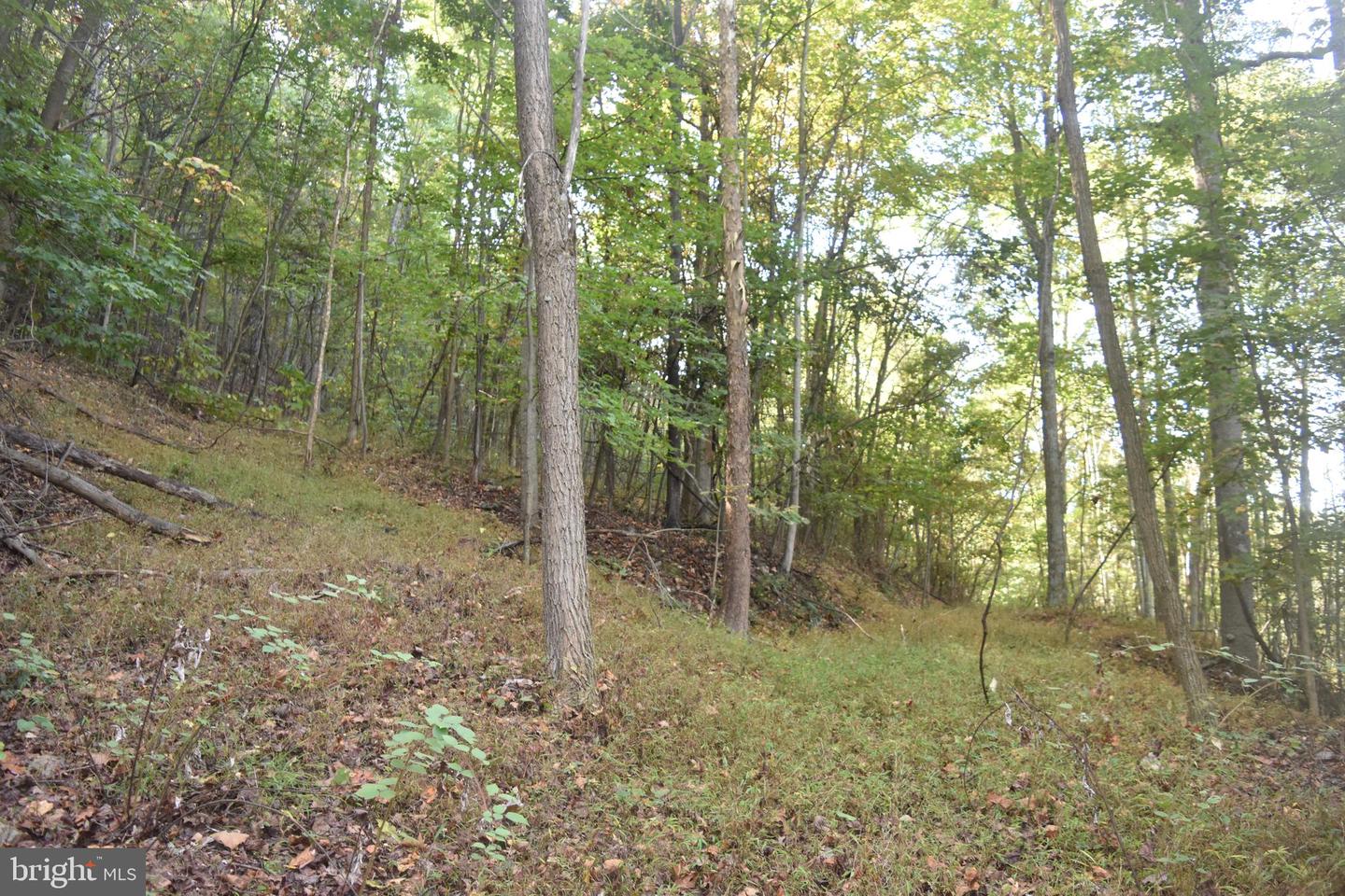 2083 Clay Pits Ln Property Photo 9
