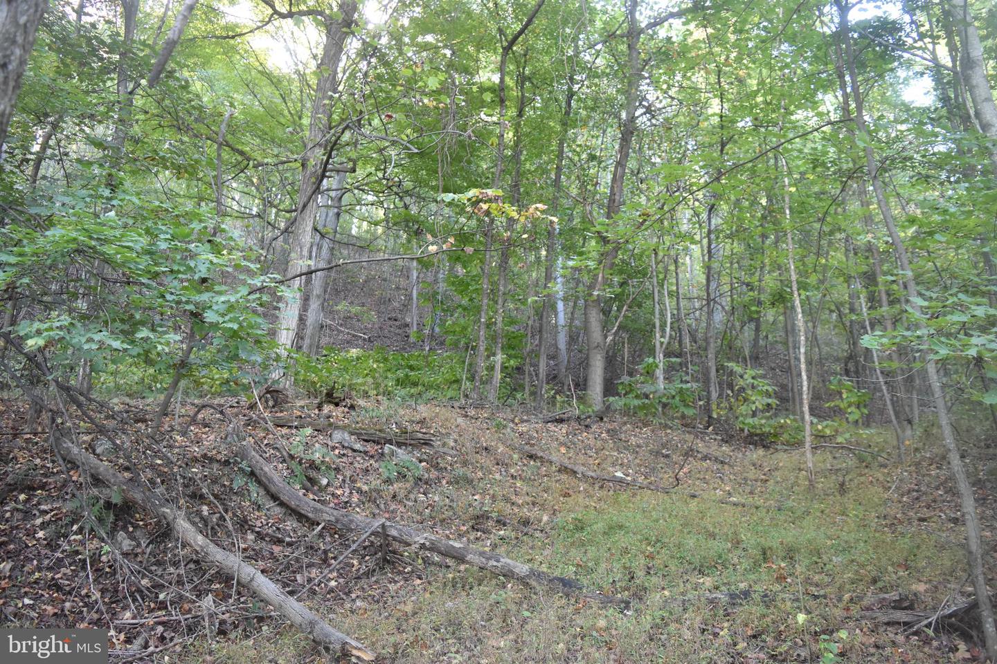 2083 Clay Pits Ln Property Photo 10
