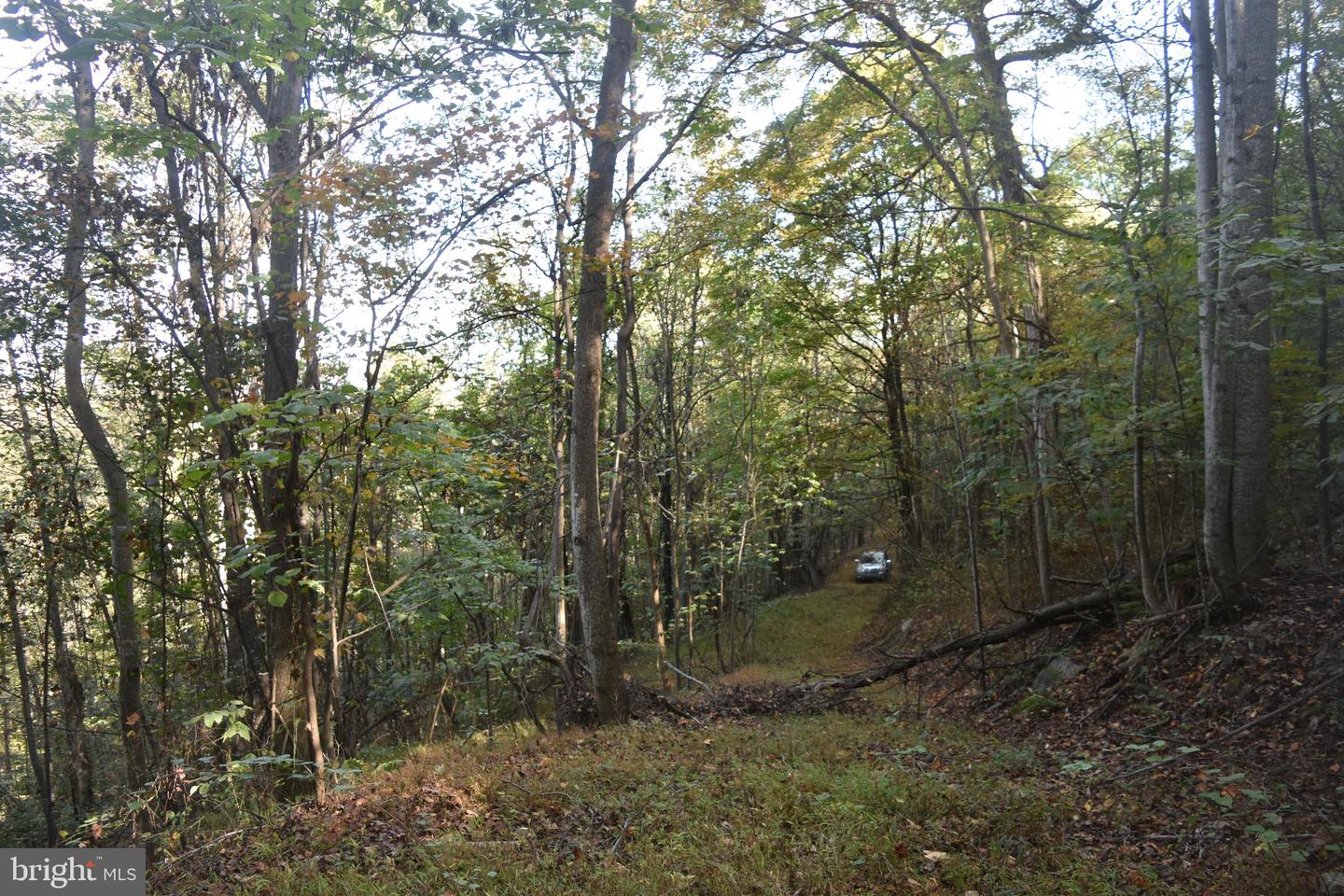 2083 Clay Pits Ln Property Photo 11