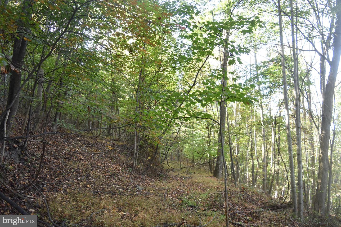 2083 Clay Pits Ln Property Photo 12