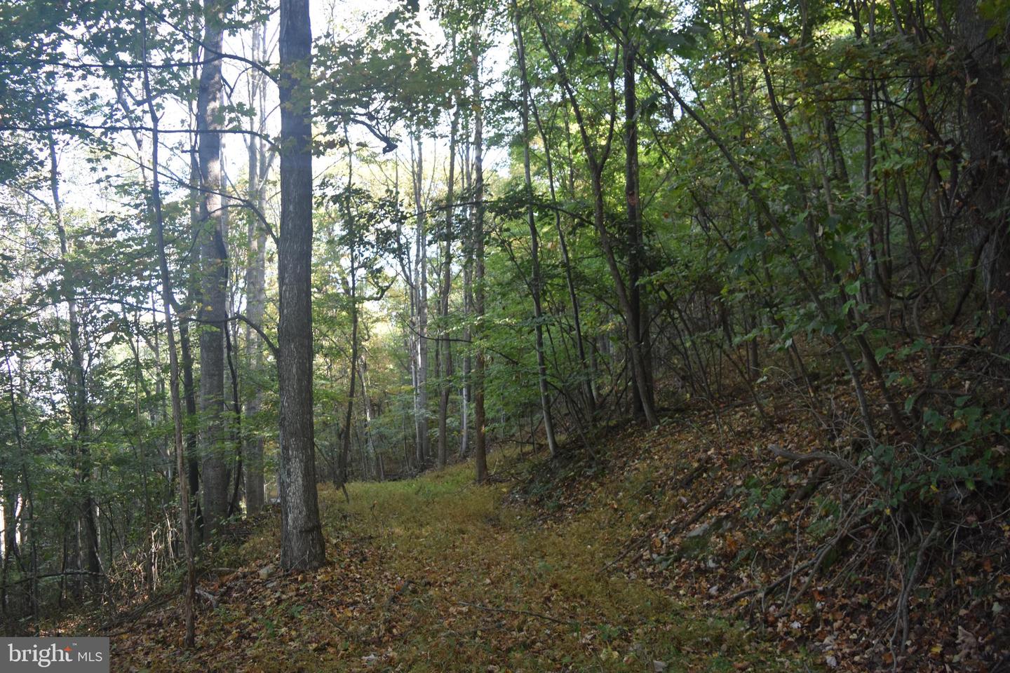 2083 Clay Pits Ln Property Photo 13