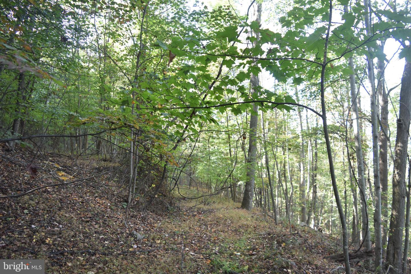 2083 Clay Pits Ln Property Photo 14
