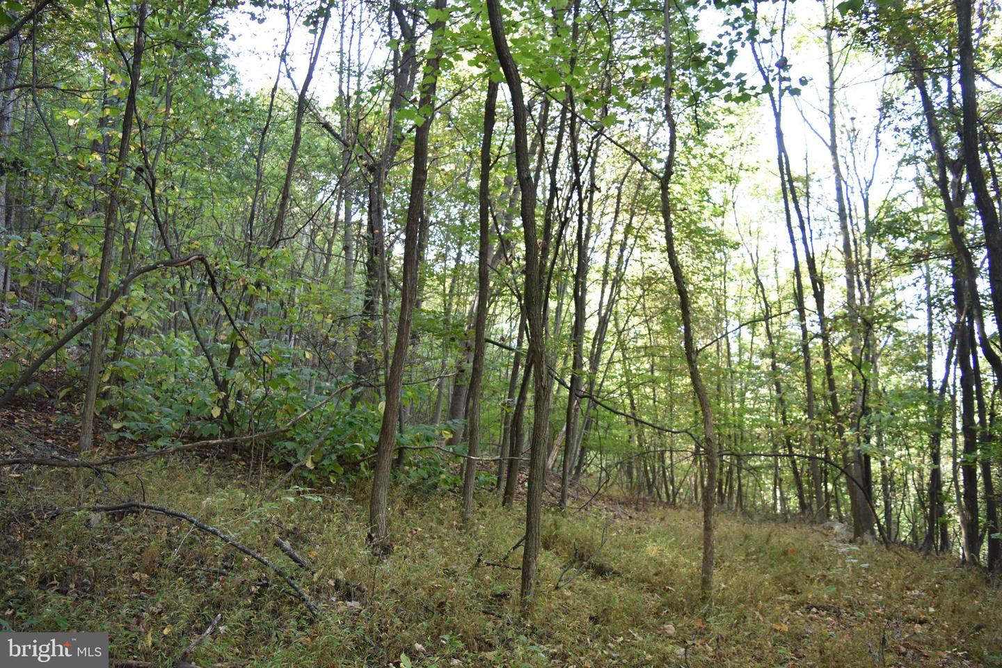 2083 Clay Pits Ln Property Photo 15
