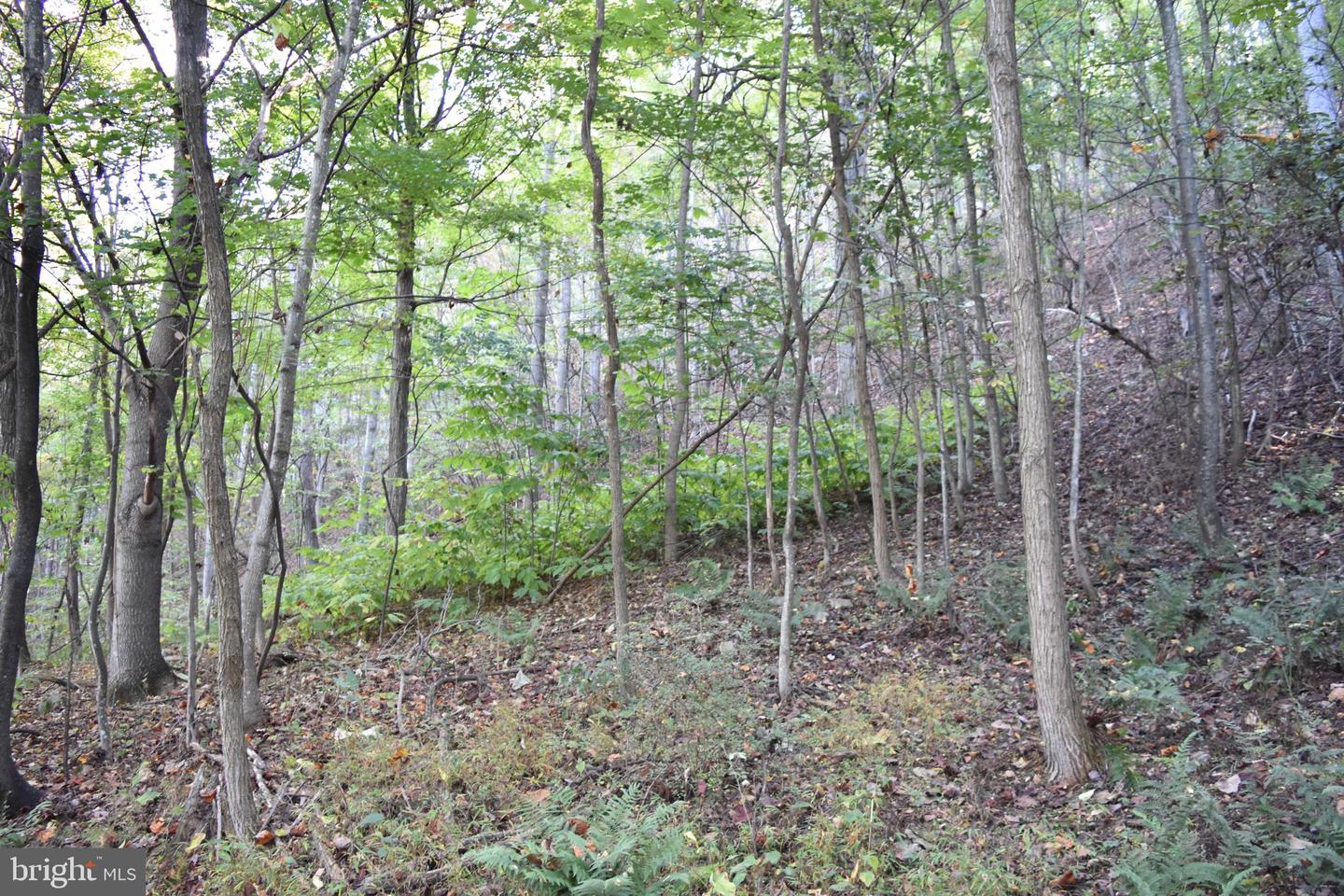 2083 Clay Pits Ln Property Photo 16