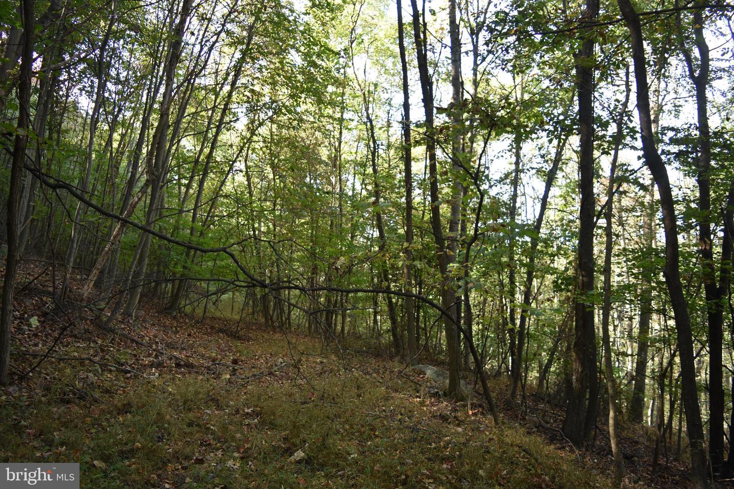 2083 Clay Pits Ln Property Photo 17