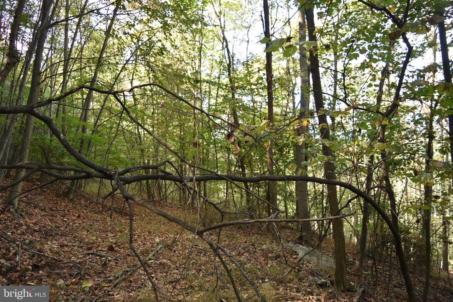 2083 Clay Pits Ln Property Photo 18