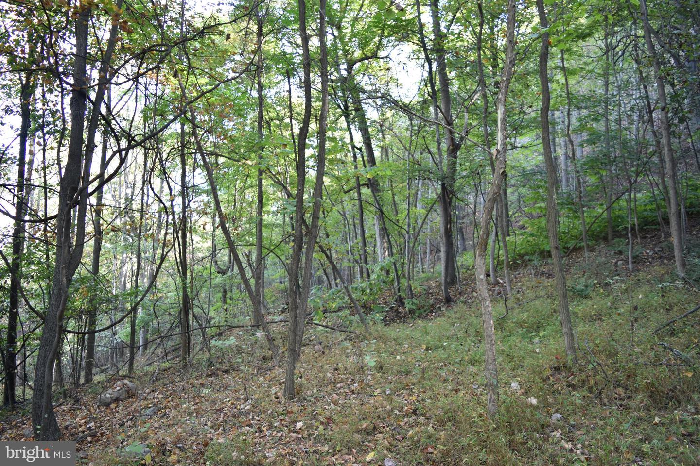 2083 Clay Pits Ln Property Photo 19