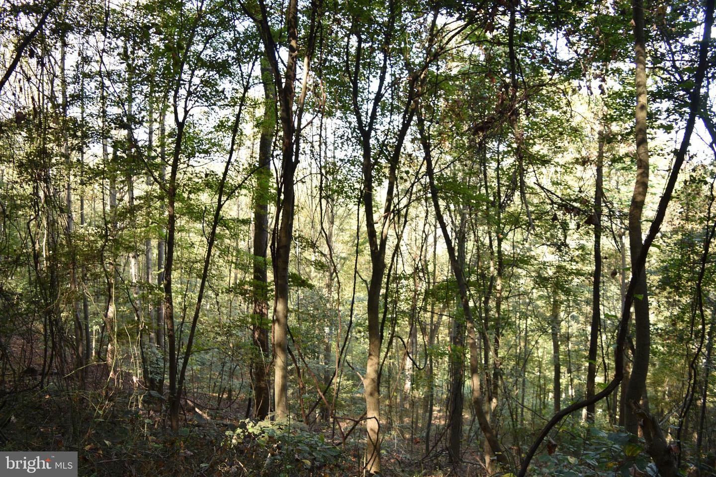 2083 Clay Pits Ln Property Photo 20