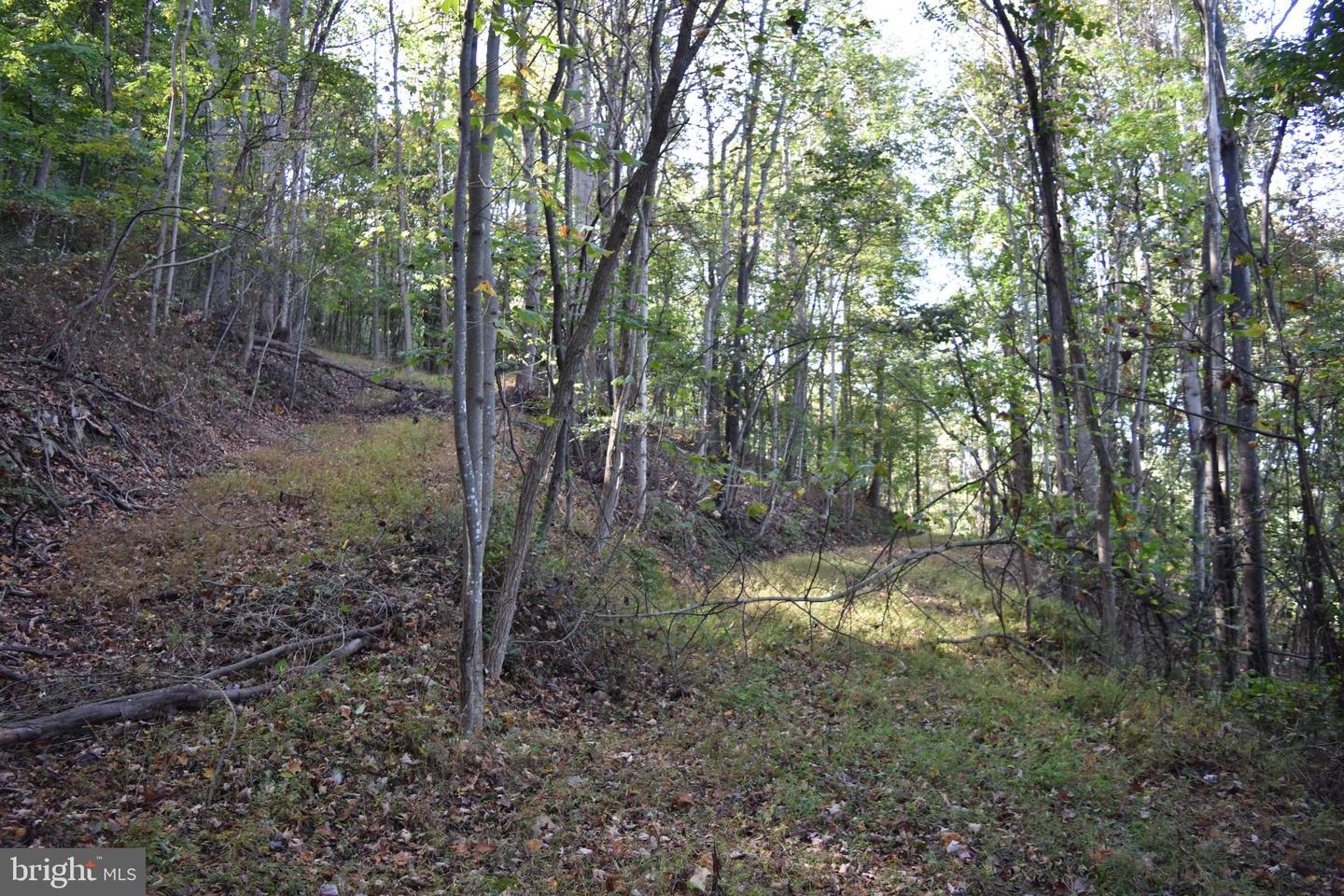 2083 Clay Pits Ln Property Photo 21