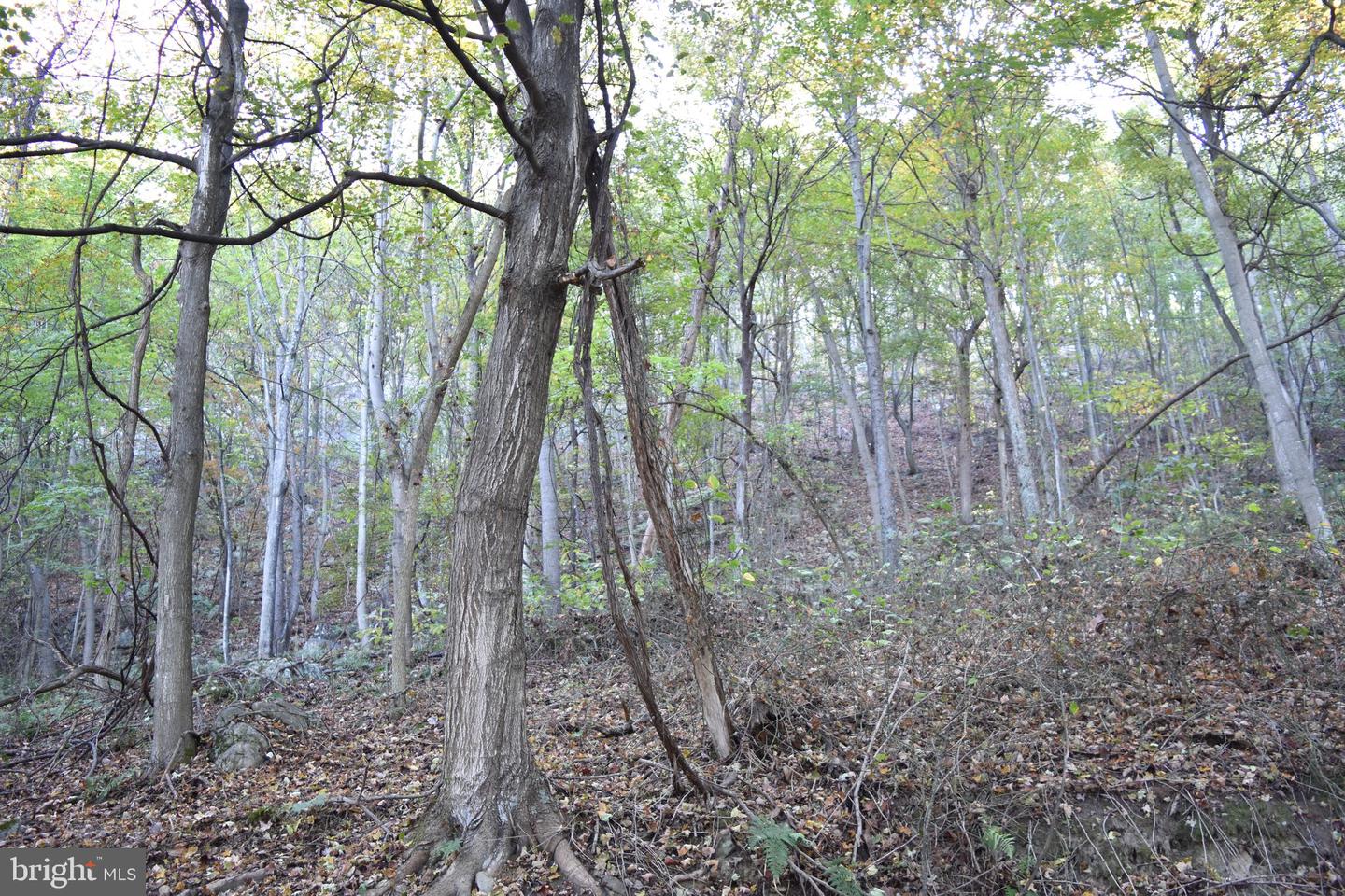 2083 Clay Pits Ln Property Photo 22