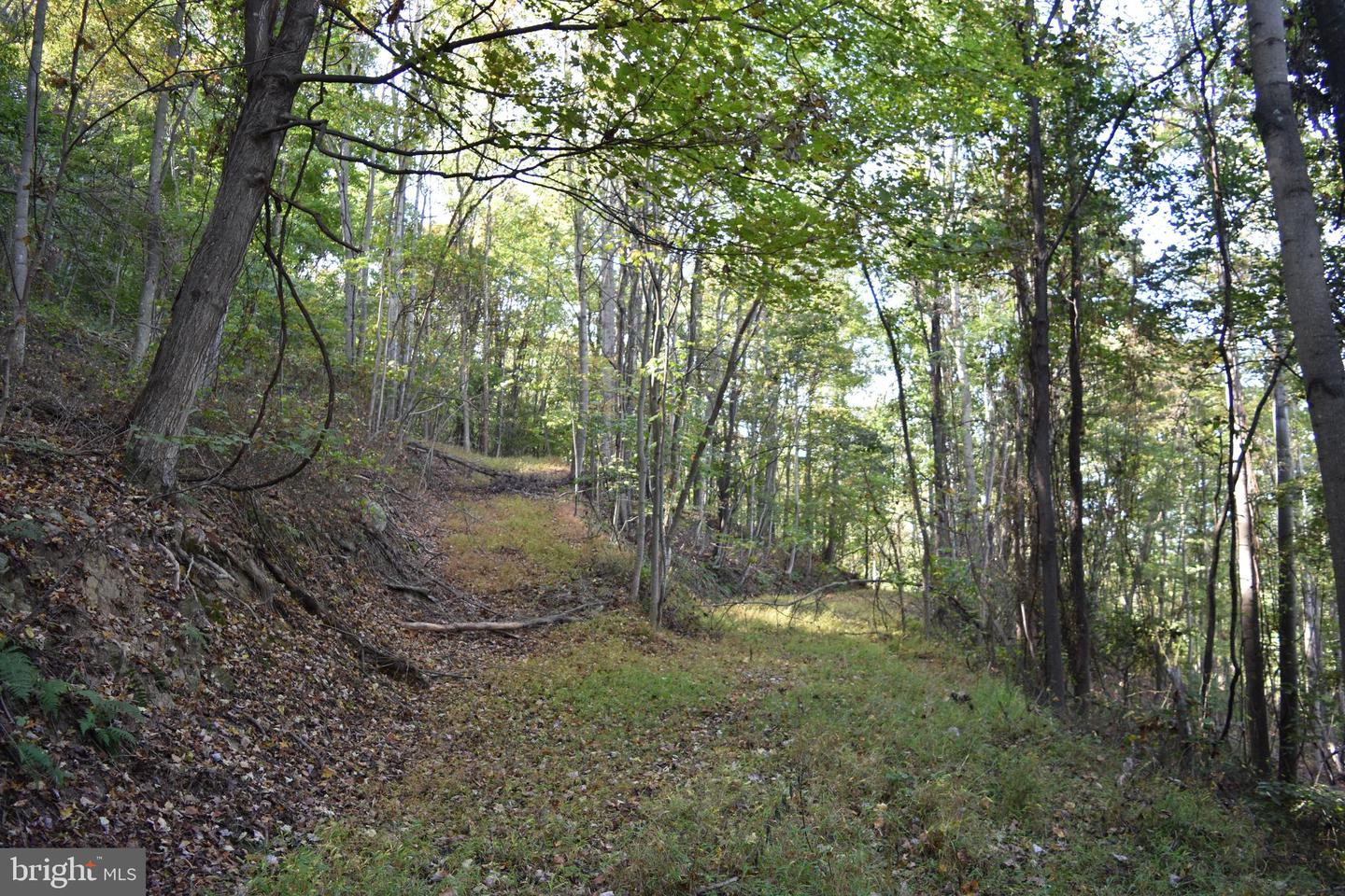 2083 Clay Pits Ln Property Photo 23